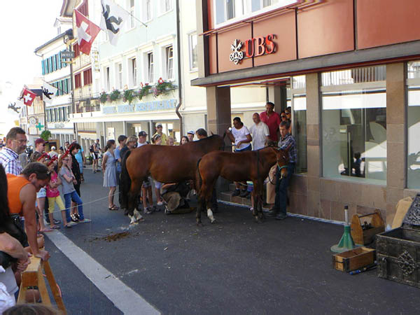 P1060850 (Groß)